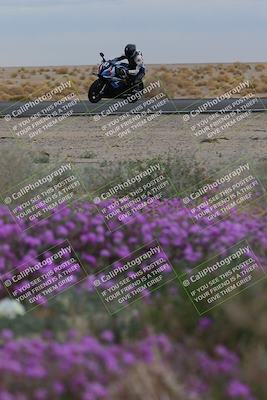 media/Jan-14-2023-SoCal Trackdays (Sat) [[497694156f]]/Turn 14 Exit Bloomig (145pm)/